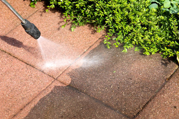 Best Local Pressure Washing Services  in Otisville, NY